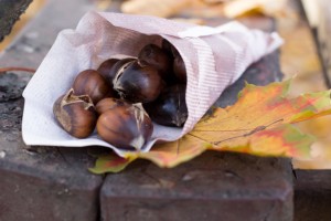 Korean Chestnuts