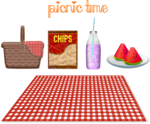 Let’s Have a Chinese Picnic!